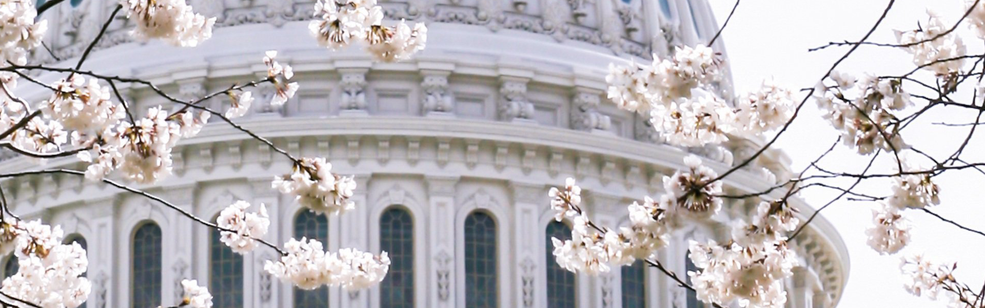 Here’s a first taste of what’s coming July 25!